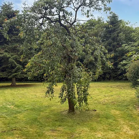 4 Bedroom Pet Friendly In * Ansager